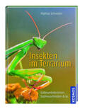 Schneider |  Kosmos: Insekten im Terrarium | Buch |  Sack Fachmedien