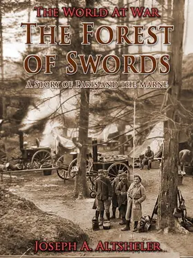 Altsheler |  The Forest of Swords / A Story of Paris and the Marne | eBook | Sack Fachmedien