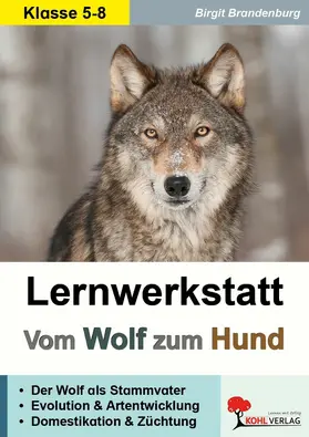 Brandenburg |  Lernwerkstatt Wolf und Hund | eBook | Sack Fachmedien