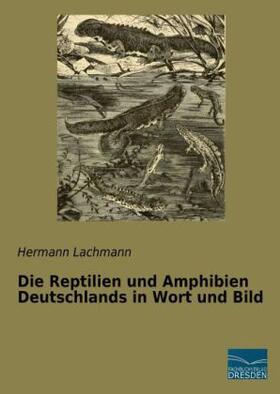 Lachmann |  Die Reptilien und Amphibien Deutschlands in Wort und Bild | Buch |  Sack Fachmedien