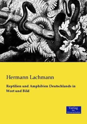 Lachmann |  Reptilien und Amphibien Deutschlands in Wort und Bild | Buch |  Sack Fachmedien
