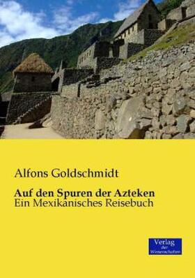 Goldschmidt |  Auf den Spuren der Azteken | Buch |  Sack Fachmedien