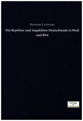 Lachmann |  Die Reptilien und Amphibien Deutschlands in Wort und Bild | Buch |  Sack Fachmedien