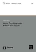 Ceruti |  Labour Organising under Authoritarian Regimes | eBook | Sack Fachmedien