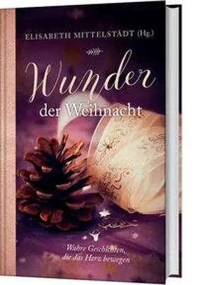 Mittelstädt | Wunder der Weihnacht | Buch | 978-3-95734-167-9 | www.sack.de