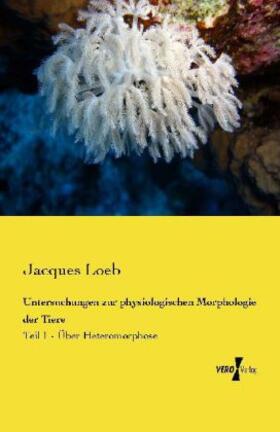 Loeb |  Untersuchungen zur physiologischen Morphologie der Tiere | Buch |  Sack Fachmedien