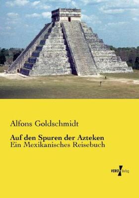 Goldschmidt |  Auf den Spuren der Azteken | Buch |  Sack Fachmedien