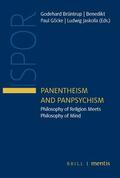 Brüntrup / Göcke / Jaskolla |  Panentheism and Panpsychism | Buch |  Sack Fachmedien
