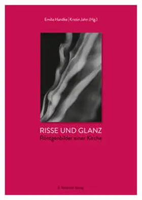 Handke / Jahn / Domsgen |  Risse und Glanz | Buch |  Sack Fachmedien