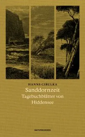 Cibulka / Schalansky |  Sanddornzeit | Buch |  Sack Fachmedien