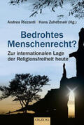Zehetmair / Riccardi |  Bedrohtes Menschenrecht? | Buch |  Sack Fachmedien