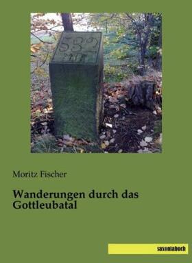 Fischer |  Wanderungen durch das Gottleubatal | Buch |  Sack Fachmedien