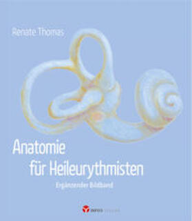 Thomas | Anatomie für Heileurythmisten | Buch | 978-3-95779-059-0 | sack.de