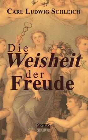 Schleich / Bedey | Die Weisheit der Freude | Buch | 978-3-95801-373-5 | sack.de