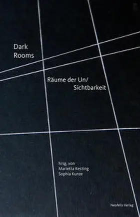 Bergeest / Buurman / Euringer-Bátorová |  Dark Rooms | Buch |  Sack Fachmedien