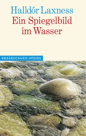 Laxness / Seelow |  Ein Spiegelbild im Wasser | eBook | Sack Fachmedien