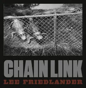 Friedlander |  Chain Link | Buch |  Sack Fachmedien