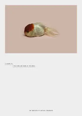 Zhao Renhui |  A Guide to the Flora and Fauna of the World | Buch |  Sack Fachmedien