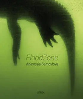 Samoylova |  FloodZone | Buch |  Sack Fachmedien