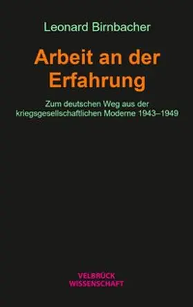 Birnbacher |  Arbeit an der Erfahrung | Buch |  Sack Fachmedien