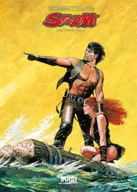  Storm. Band 1 (Splitter Diamant Vorzugsausgabe) | Buch |  Sack Fachmedien