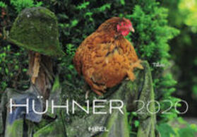  Hühner 2020 | Sonstiges |  Sack Fachmedien