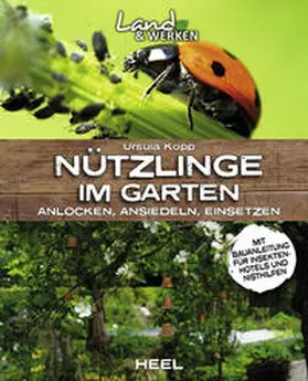 Kopp | Nützlinge im Garten - anlocken, ansiedeln, einsetzen | Buch | 978-3-95843-875-0 | sack.de