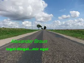 Braun |  Legal - illegal... Mir egal | eBook | Sack Fachmedien