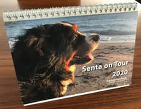 Forsbach |  Senta on Tour 2020 - Fotokalender DIN A5 | Sonstiges |  Sack Fachmedien