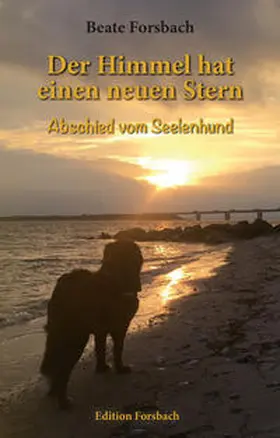 Forsbach | Der Himmel hat einen neuen Stern | Buch | 978-3-95904-196-6 | www.sack.de