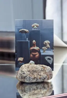 Monko / Seelig |  Diamonds Against Stones | Buch |  Sack Fachmedien