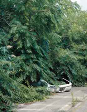 Klose |  Detroit | Buch |  Sack Fachmedien