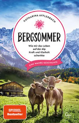 Afflerbach | Bergsommer | Buch | 978-3-95910-210-0 | www.sack.de