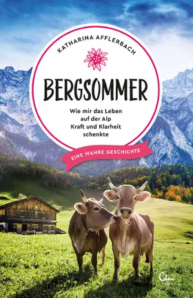 Afflerbach |  Bergsommer | eBook | Sack Fachmedien