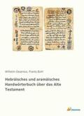 Gesenius / Buhl |  Hebräisches und aramäisches Handwörterbuch über das Alte Testament | Buch |  Sack Fachmedien