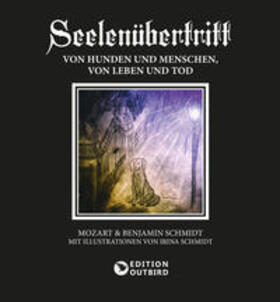 Schmidt / Mozart | Seelenübertritt | Buch | sack.de