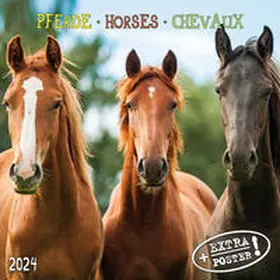  Horses/Pferde 2024 | Sonstiges |  Sack Fachmedien