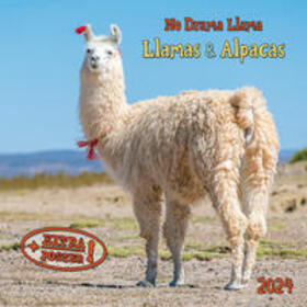  No Drama Llama 2024 | Sonstiges |  Sack Fachmedien