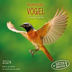  Heimische Vögel 2024 | Sonstiges |  Sack Fachmedien