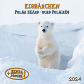  Polar Bears/Eisbärchen 2024 | Sonstiges |  Sack Fachmedien