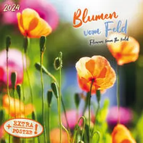  Blumen vom Feld 2024 | Sonstiges |  Sack Fachmedien