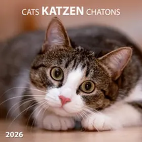 Katzen/Cats 2026 | Sonstiges |  Sack Fachmedien
