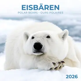 Eisbärchen/Polar Bears 2026 | Sonstiges |  Sack Fachmedien