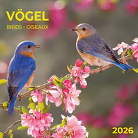  Heimische Vögel 2026 | Sonstiges |  Sack Fachmedien