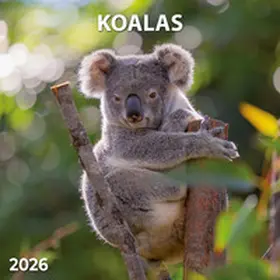  Koalas 2026 | Sonstiges |  Sack Fachmedien