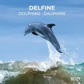  Delfine / Dolphins 2027 | Sonstiges |  Sack Fachmedien