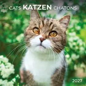  Katzen / Cats 2027 | Sonstiges |  Sack Fachmedien