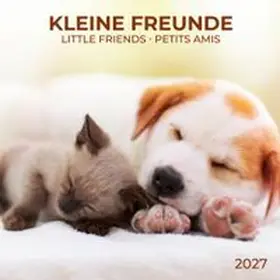  Kleine Freunde / Little Friends 2027 | Sonstiges |  Sack Fachmedien