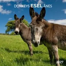  Esel / Donkeys 2027 | Sonstiges |  Sack Fachmedien