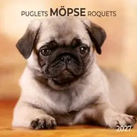  Möpse / Puglets 2027 | Sonstiges |  Sack Fachmedien